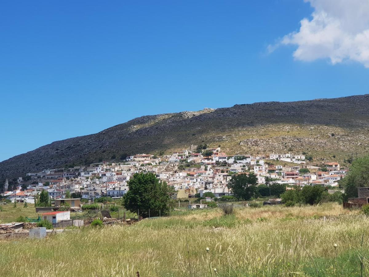 Villa Daniela & Apartments Кутсунари Экстерьер фото
